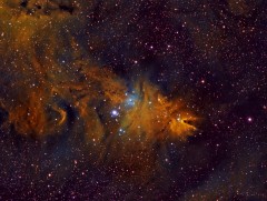 NGC2264 y Fox Fur Nebula narrowband
