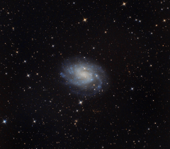 ngc300