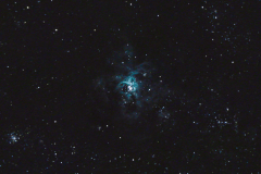 Tarantula (NGC 2070)